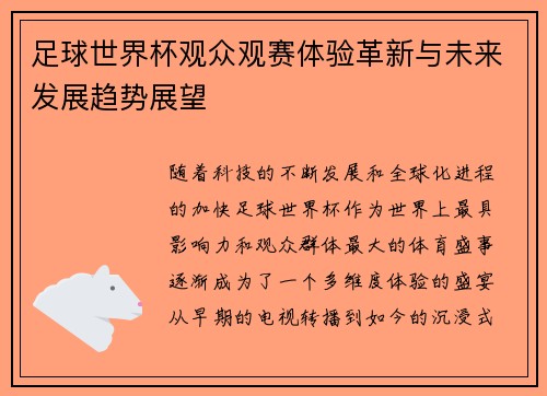 足球世界杯观众观赛体验革新与未来发展趋势展望