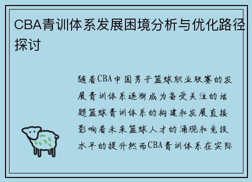 CBA青训体系发展困境分析与优化路径探讨